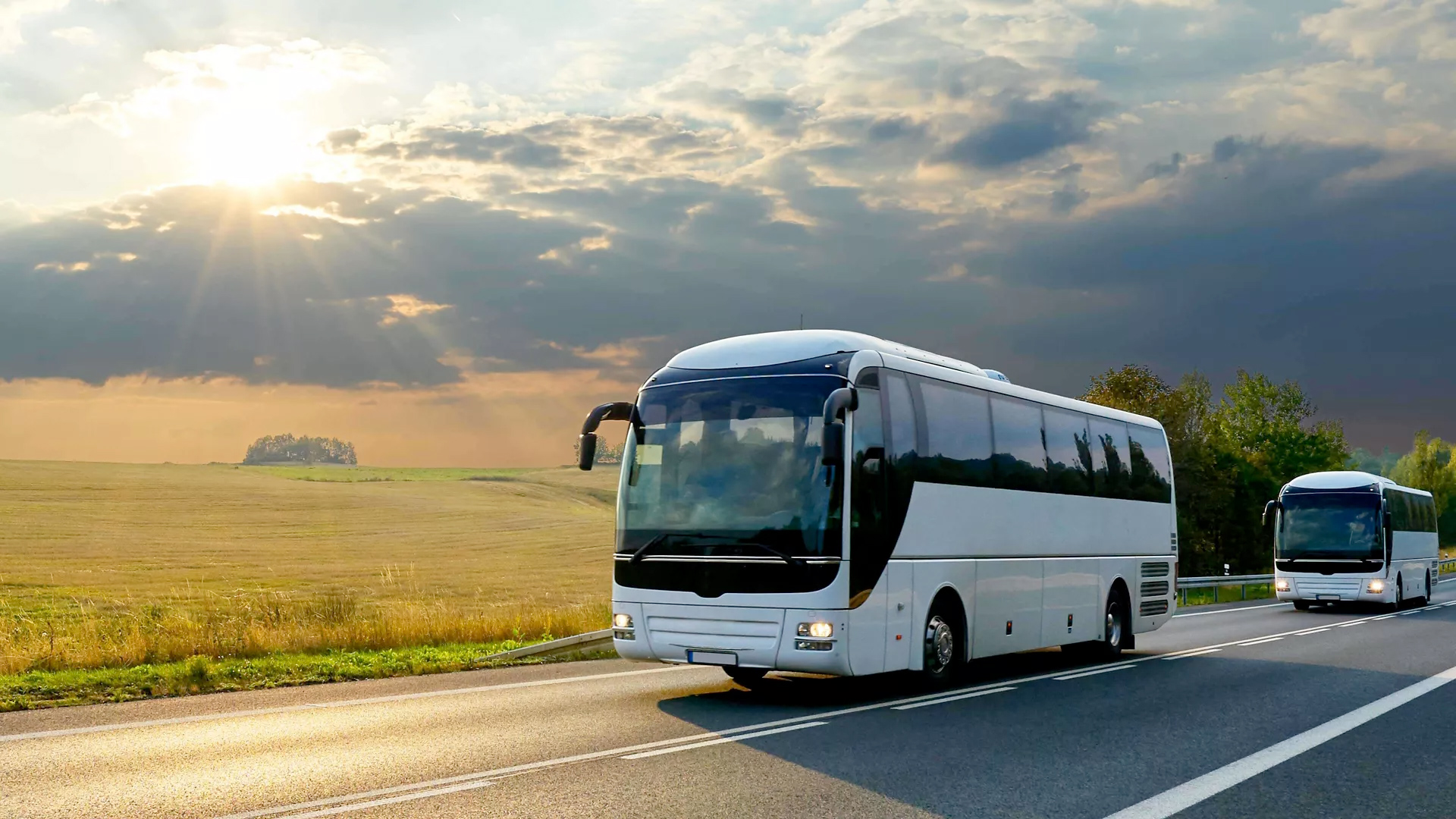tourist bus